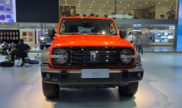 国产精品300,匠心独运，品质卓越的匠心之作